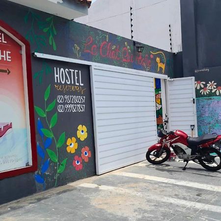 "Le Chat Qui Peche" Hostel A 150 Metros Da Praia De Pajucara Maceio  Exterior photo